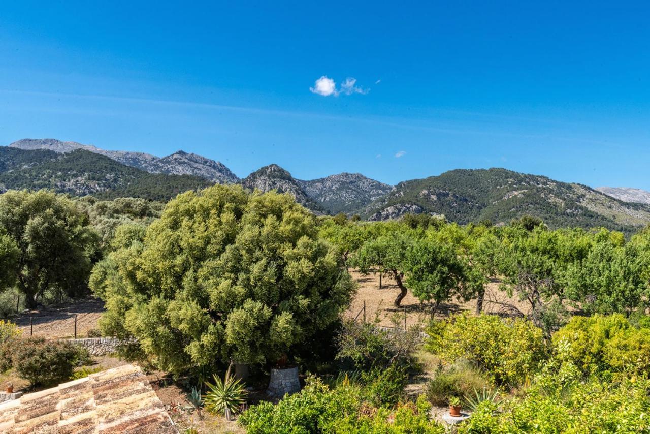 Finca Son Arnau Selva  Dış mekan fotoğraf